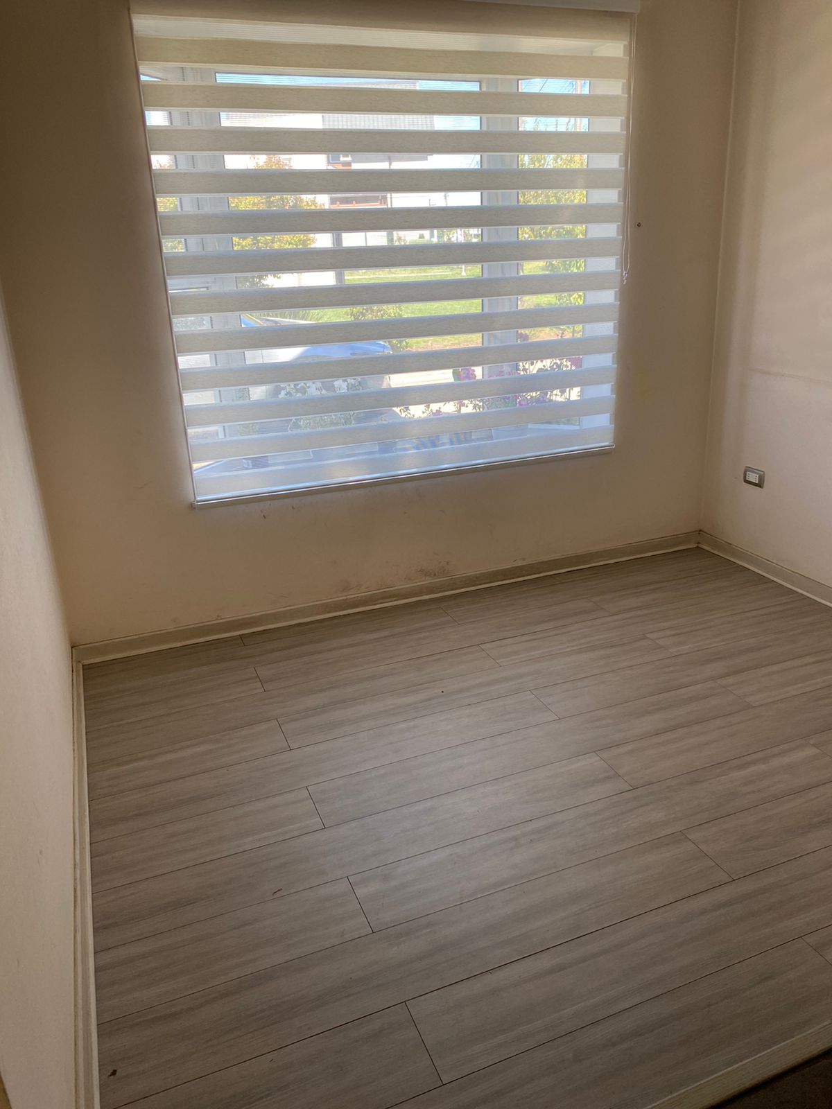 Foto vane 4_69cff09320c9e.jpg